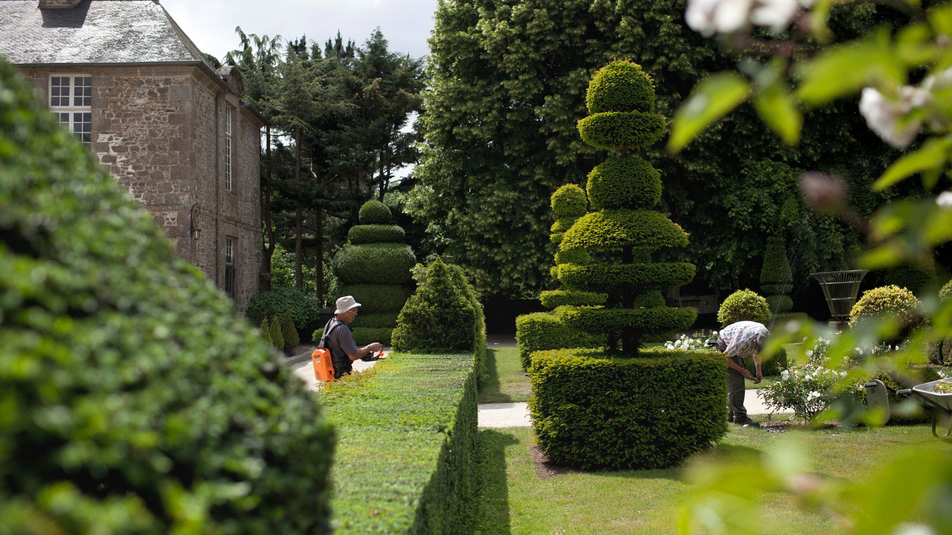 chateau-et-jardins-de-la-ballue-art-topiaire