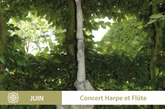 Concert Harpe et Flûte : 15 Juin 2014