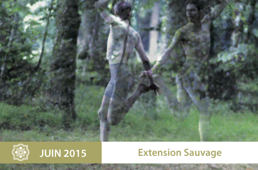 festival de danse 2015