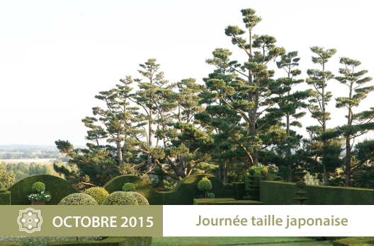 Journée taille japonaise à la Ballue 8 octobre 2015