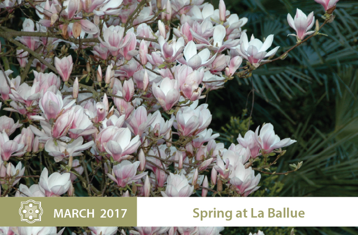 actu-2017-reouvertureEN