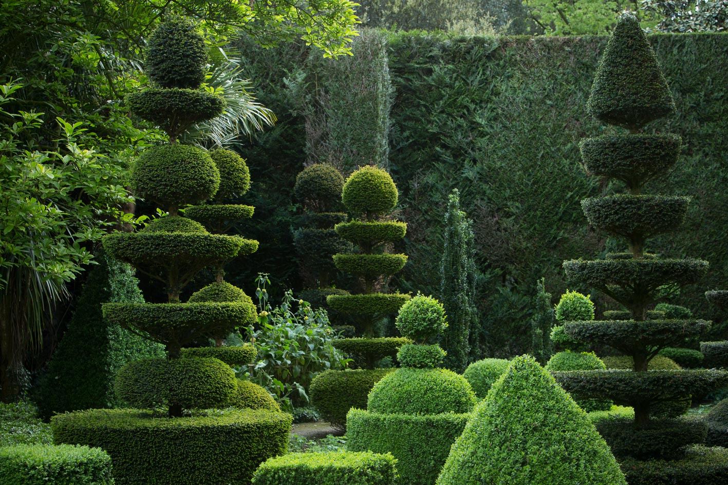 jardinsdelaballue-bretagne-art-topiaire┬®yannmonel-4541