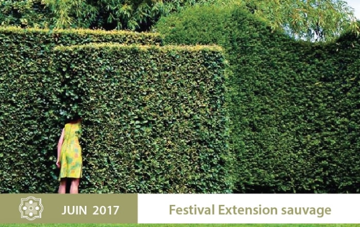 festival de danse 2017 extension sauvage