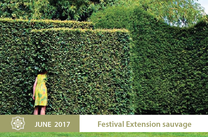 Festival-Extension-sauvage.-enjpg