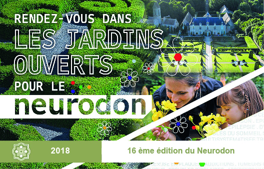 Neurodons 2018