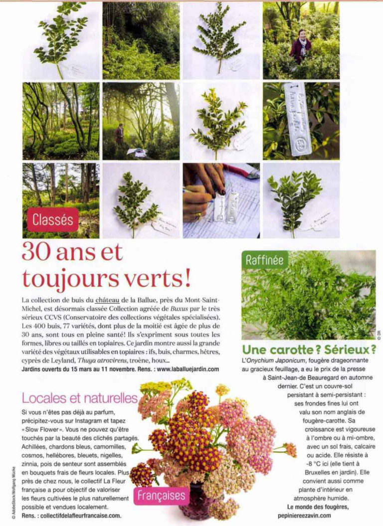 Détente Jardin - 1er janv. 2019