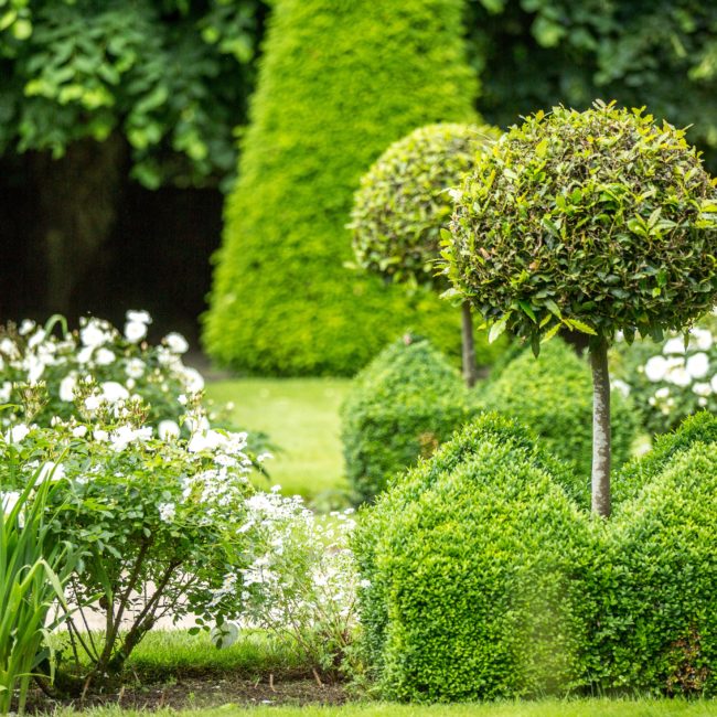 HLOBRE035FS000PB_CHlaballue133